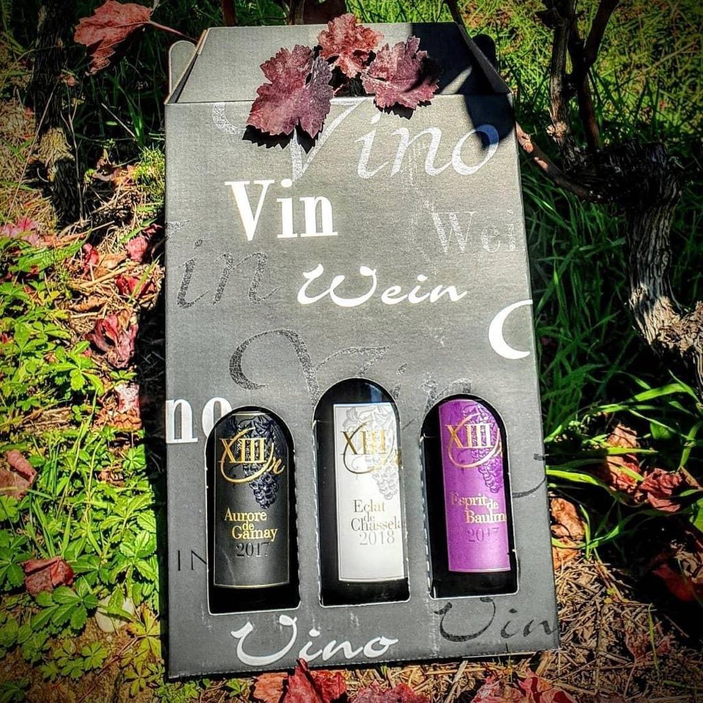 13 Coteaux_Domaine 1